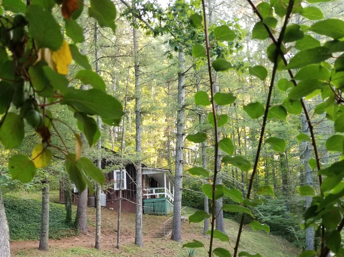 The Cabins At Healing Springs Crumpler Eksteriør bilde