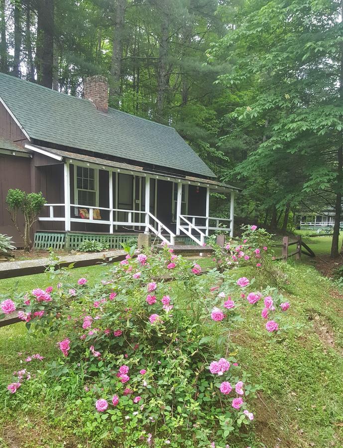 The Cabins At Healing Springs Crumpler Eksteriør bilde